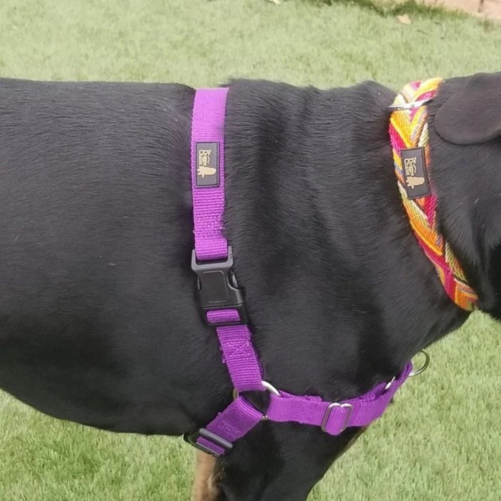 Easy Walk Dog Harness (NEW) Organic Bamboo Black